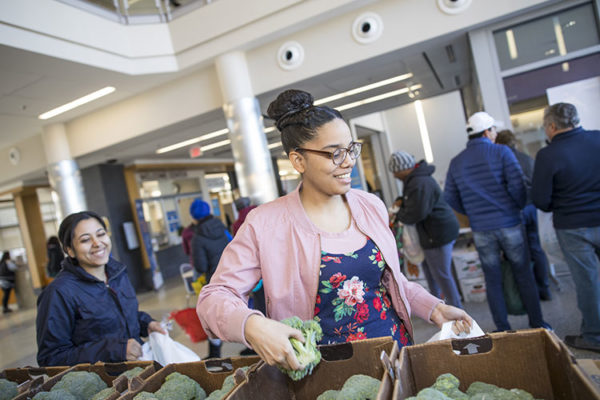 Hungry College Students Succeed | The Greater Boston Food Bank